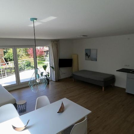 Grosszuegiges, Helles Und Modernes Hiloa-Apartment Hochdorf  エクステリア 写真